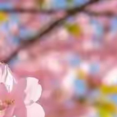 或许生命的圆满，就藏在习惯性忽略的细节里：晨跑时鞋带沾着的露珠，午夜写作时突然明