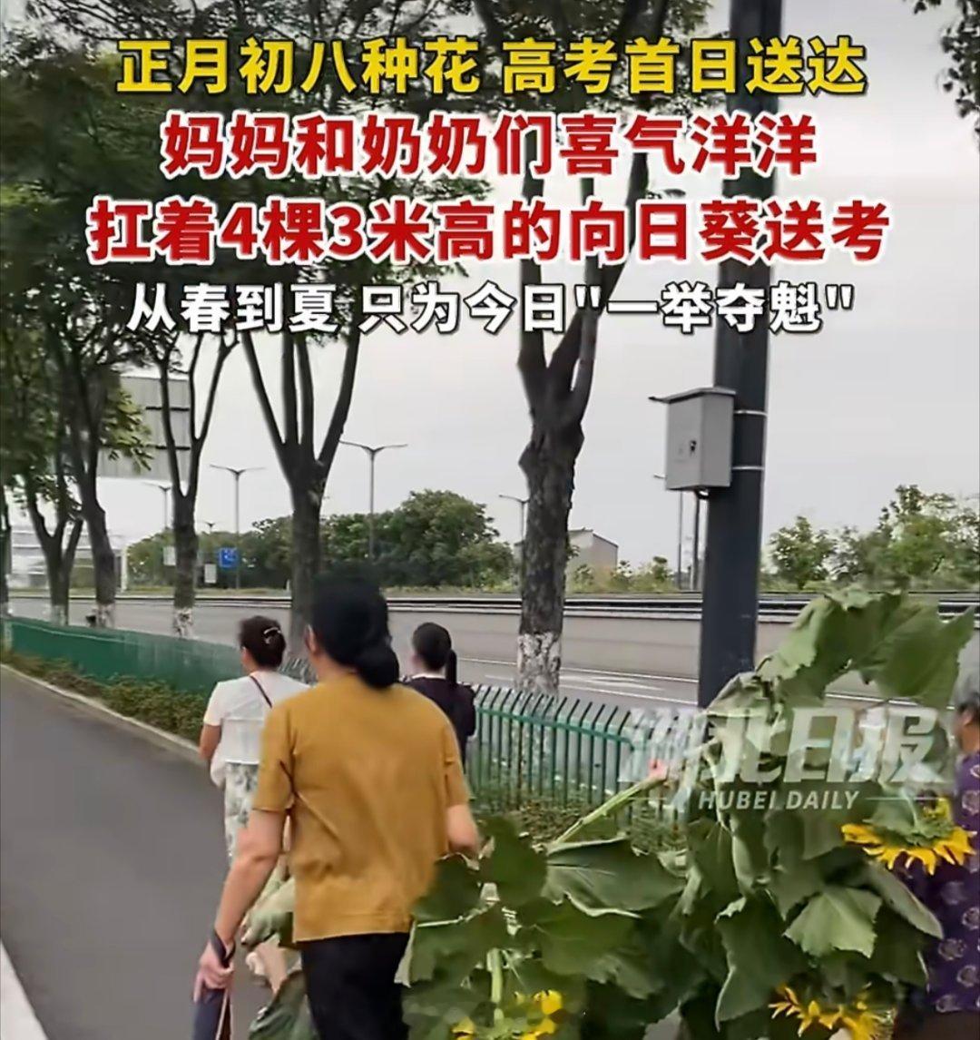 家长扛着超3米巨大向日葵送考家长扛三米向日葵送考，初看是温情，细想也值得警惕。当