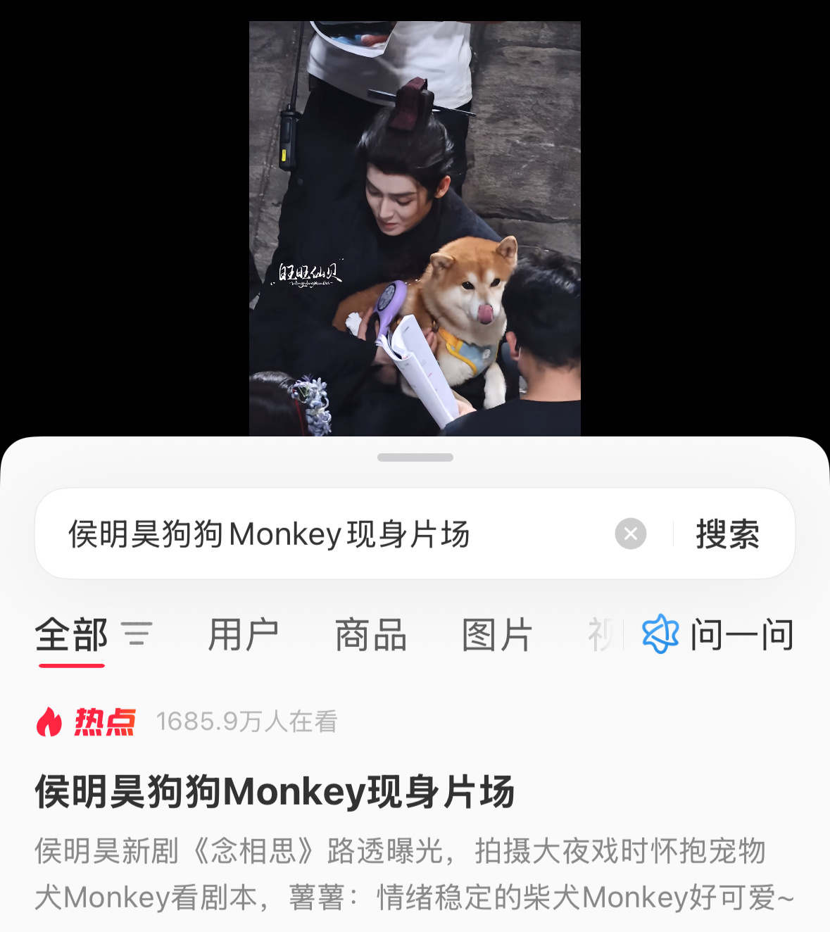 狗顶饶命呀。 ​​​