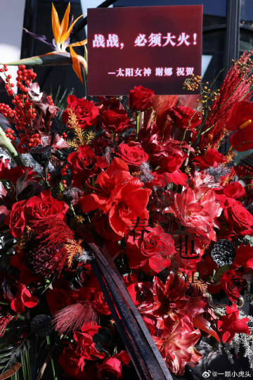 谢娜给肖战南京演唱会送的花篮谢娜送肖战演唱会的红色花篮谁被这份双向的情谊打动了，