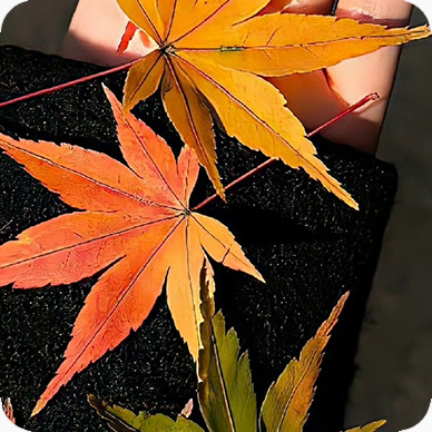 每日一善阳光信用｜每日一善生活不只是忙碌与奔波，更需要一颗温柔的心。每日行善，让