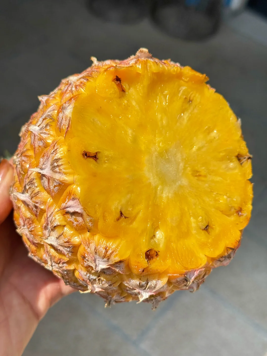 树上自然熟金钻凤梨.8.5一箱，亏米试吃