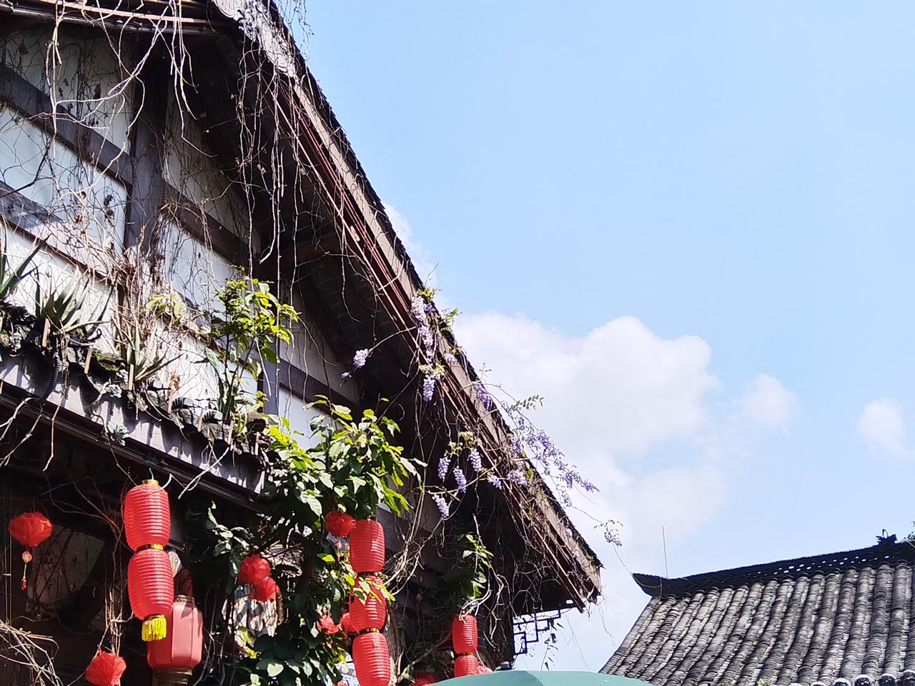 合川文峰古街老码头，屋檐边的紫藤开花了，挂在屋檐下，开在春风里！