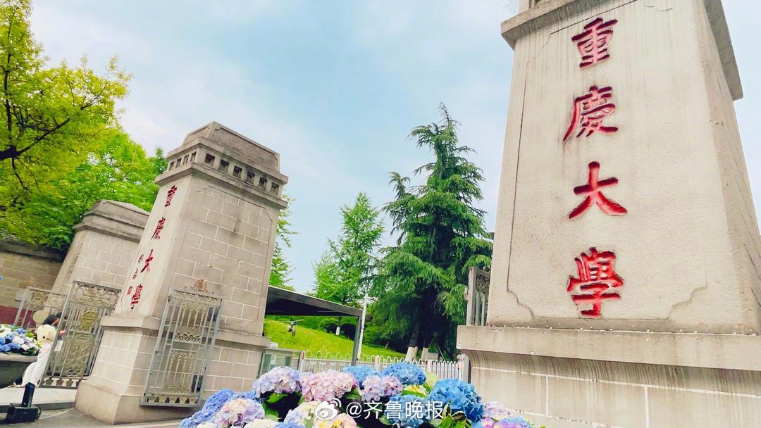 #山东高考600分以上30192人#【#重庆大学2026年山东省报考建议#：80