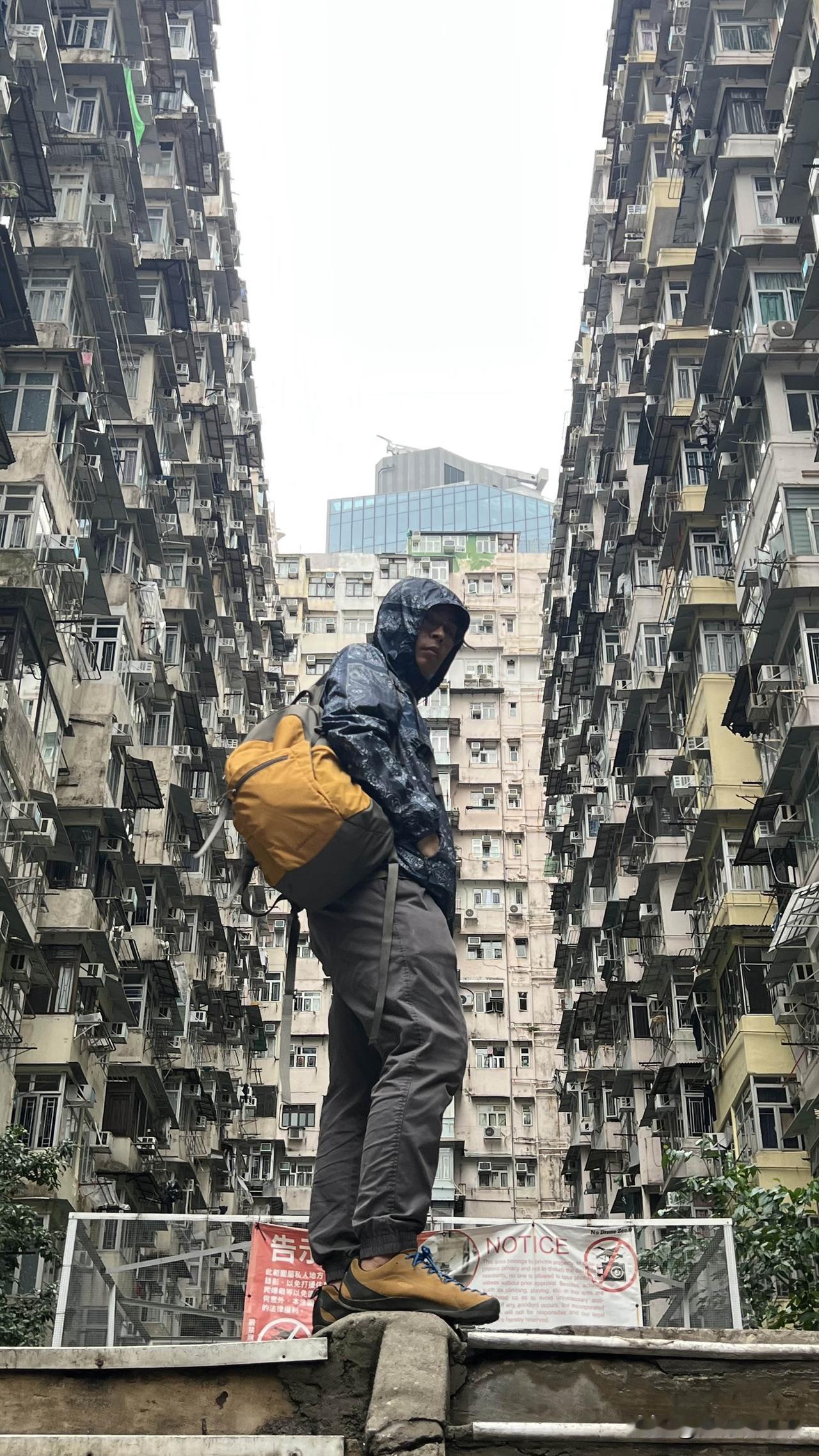 本人帅照怪兽大厦