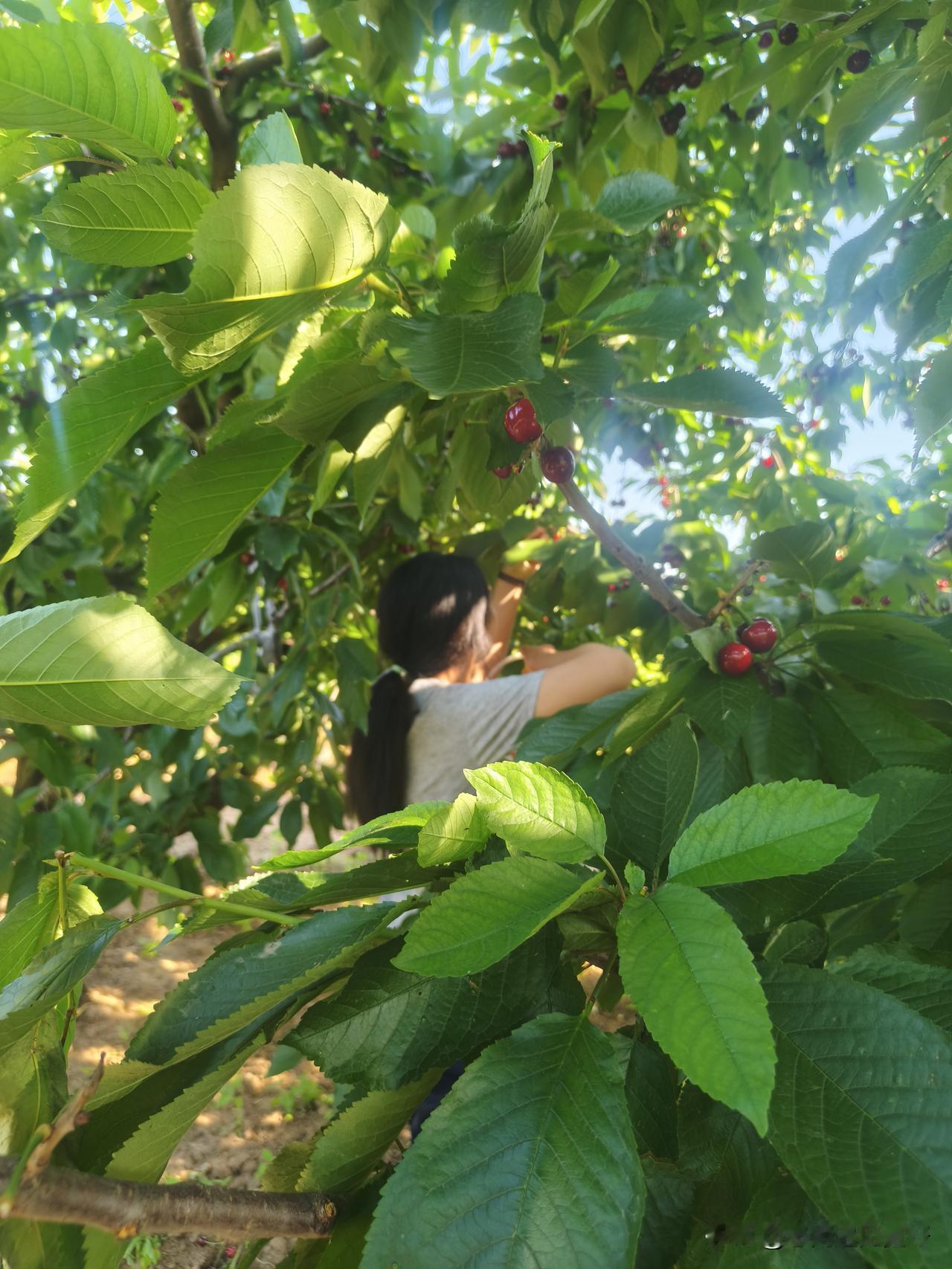 夏季阳光明媚