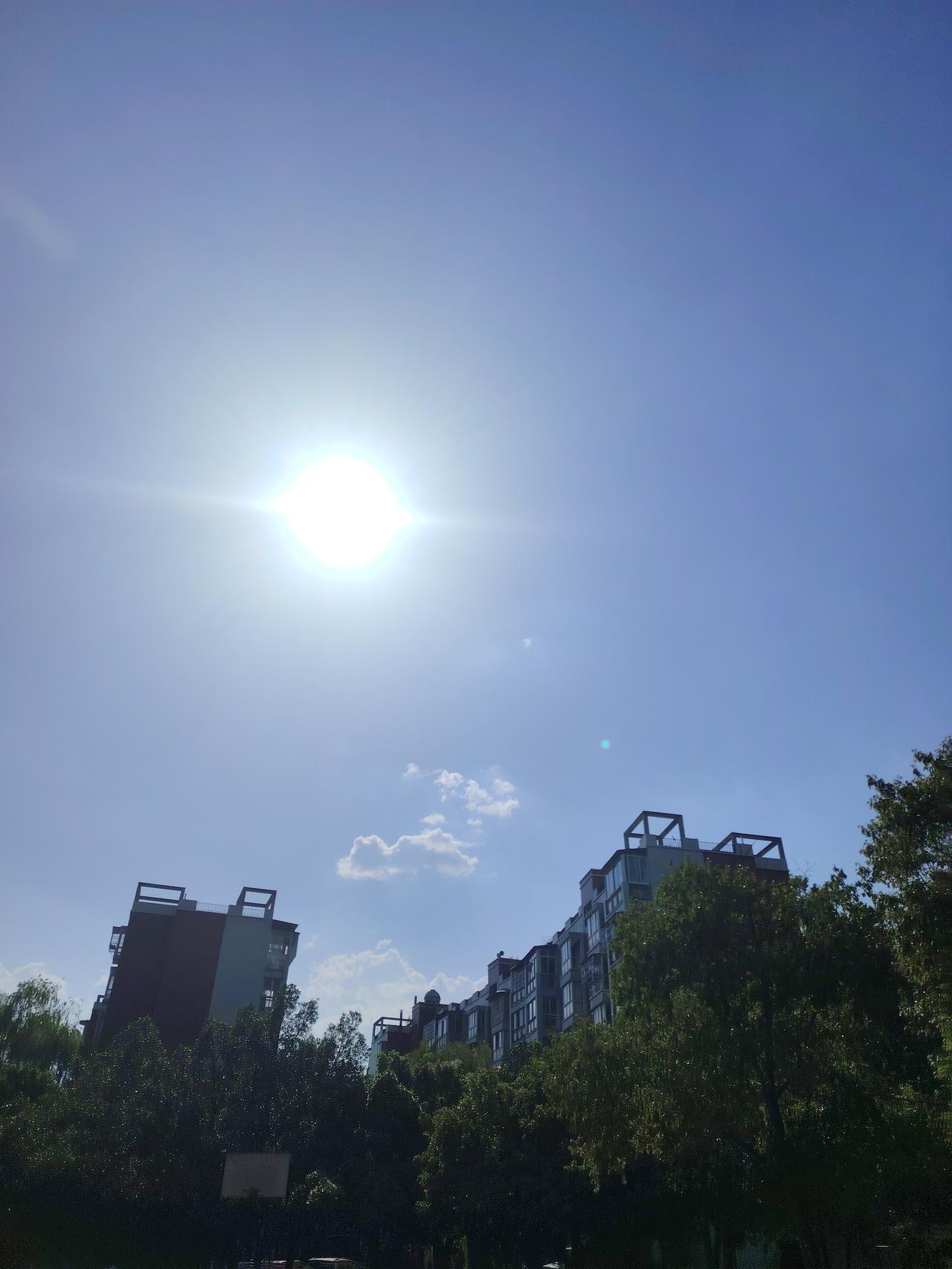 提笔想写写自己，却发现无从下笔！

我该怎样描述我自己？
提笔良久，竟无从说起。