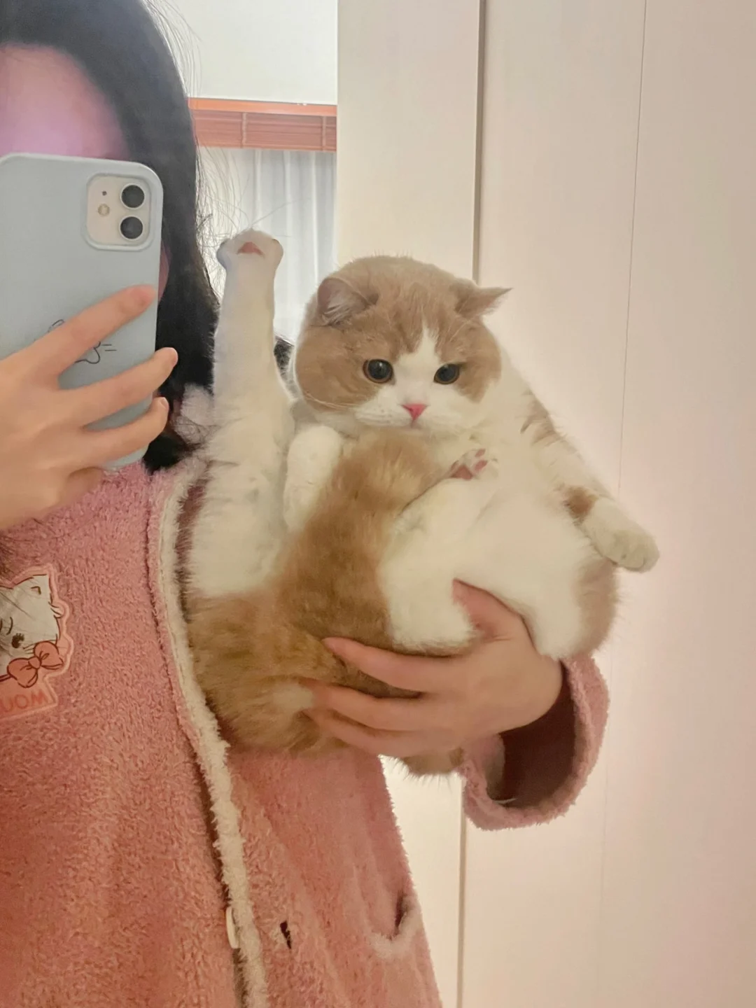 论单手抱猪的实力