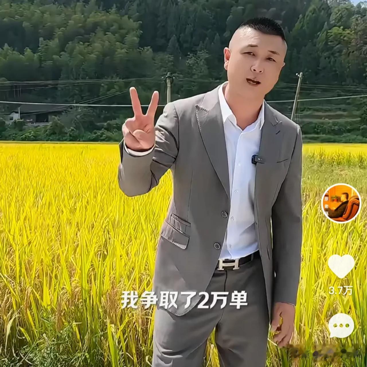 太原老葛喊话露露背后的人：我只想把露露卖的便宜一点，你自认为你背后的人很硬，那没