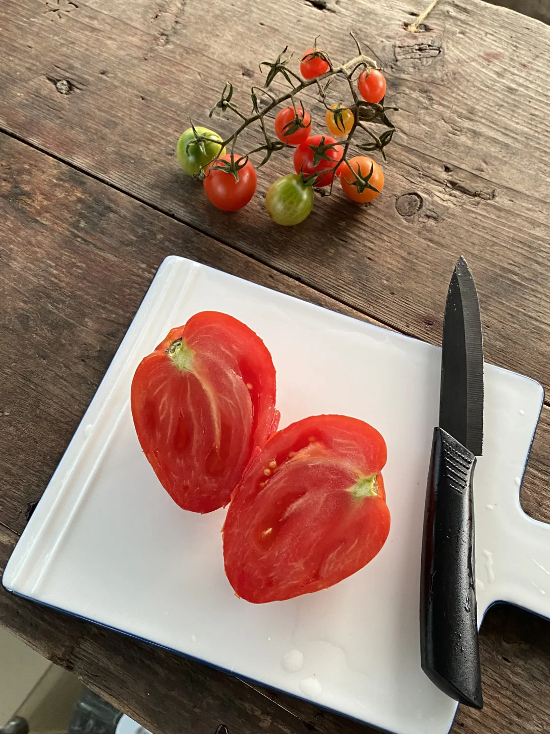 这颗番茄好像画上去的🍅！