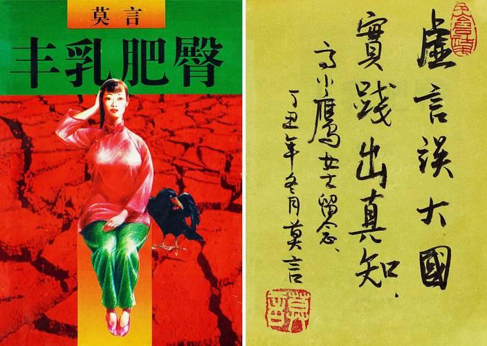 同样是描写艰难困苦岁月的文学作品，与莫言的作品《丰乳肥臀》相比，张贤亮写的《灵与
