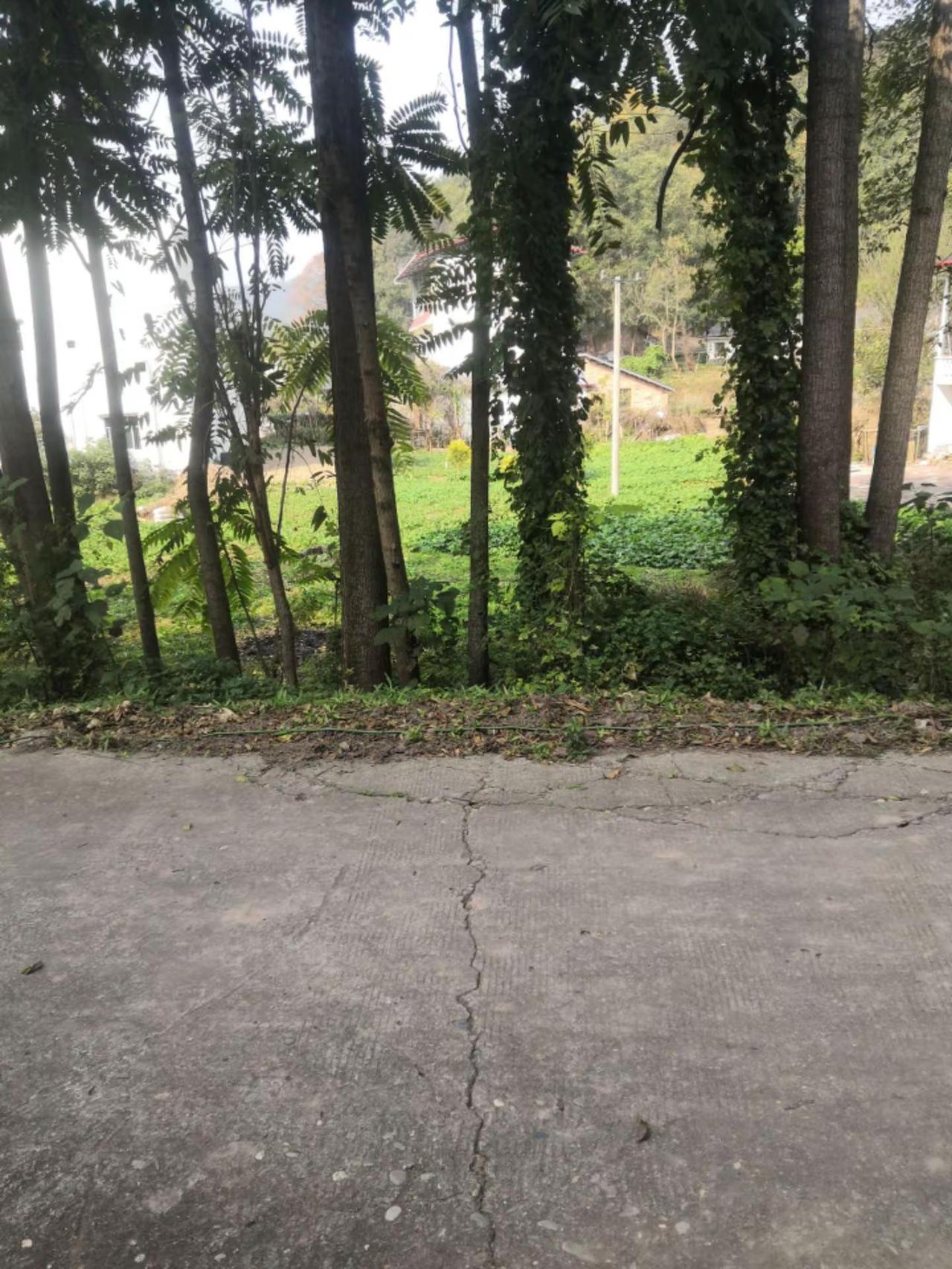 冯店农村风景我的乡村生活 农村生活日常 美丽的乡村风景 我的农村生活