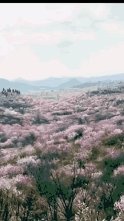 “火到人民日报了！”贵州，一男子驾车在一处公路边停留，不料，当他转头一看，竟看到