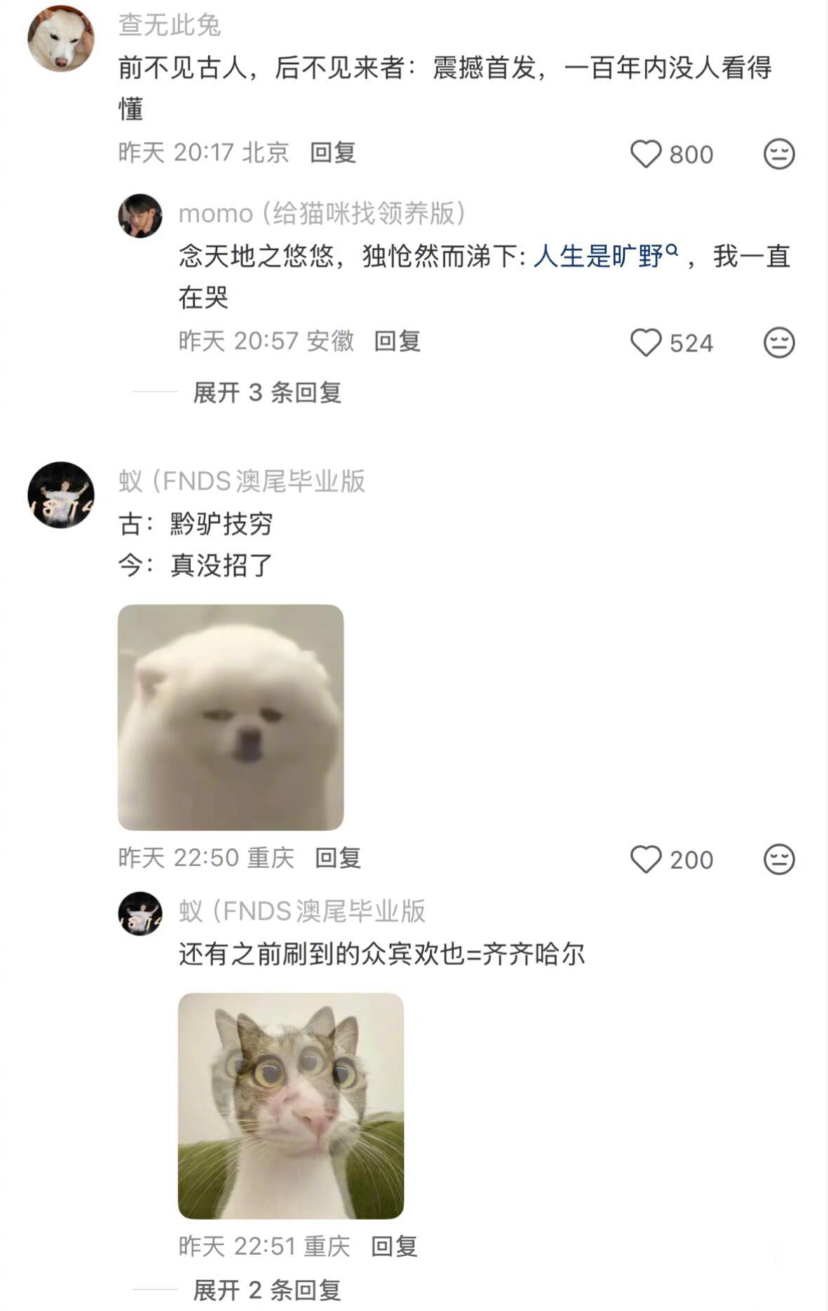 中国人造梗根本没有瓶颈期 ​​​