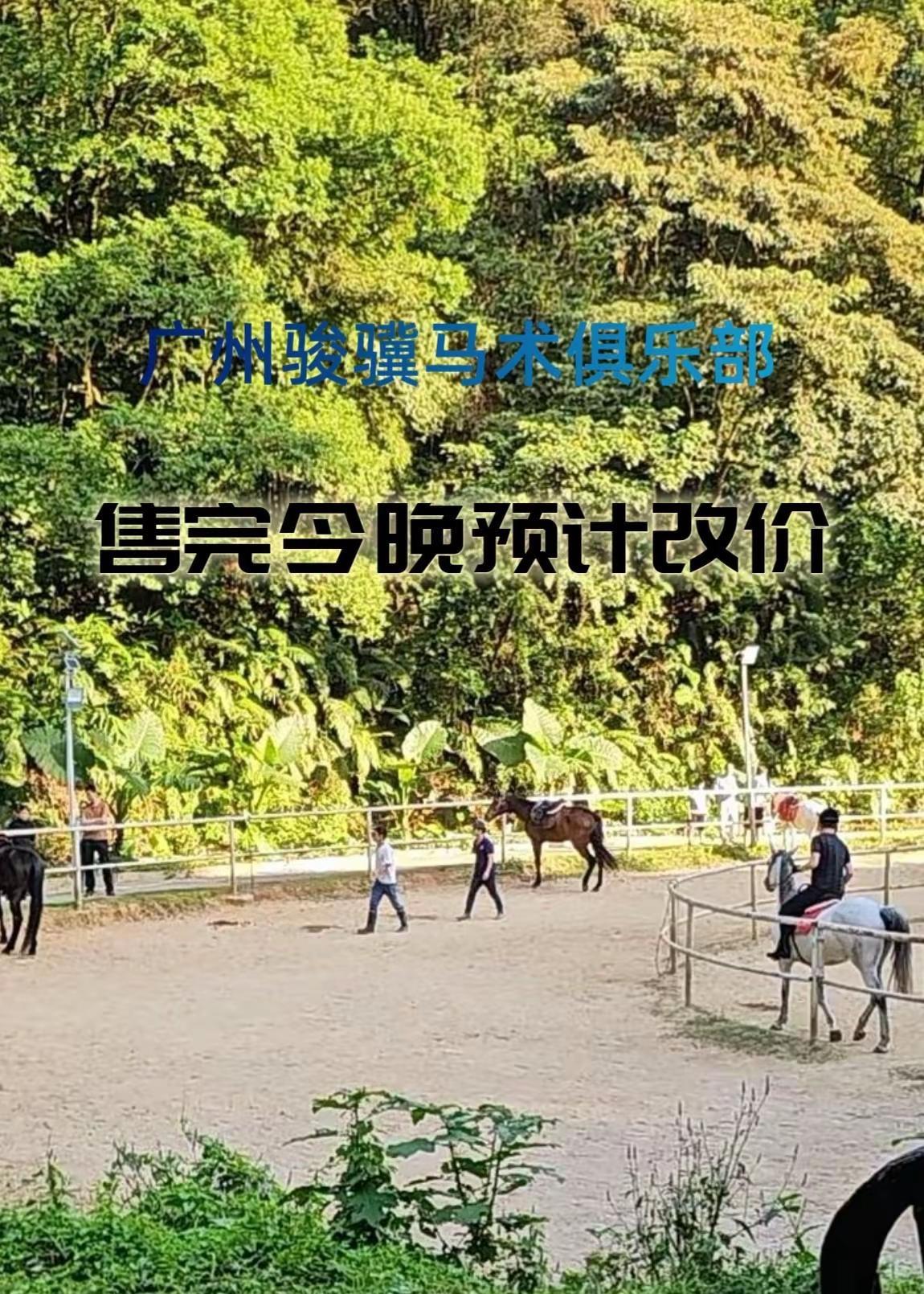 广州骏骥马术俱乐部 广州骏骥马术俱乐部 马术俱乐部 骑马体验 马术运动