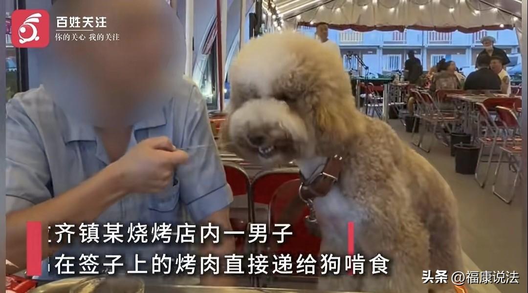 “真膈应人！”内蒙古包头，男子带着宠物狗到烧烤店，让狗坐在椅子上，拿一串肉串给它