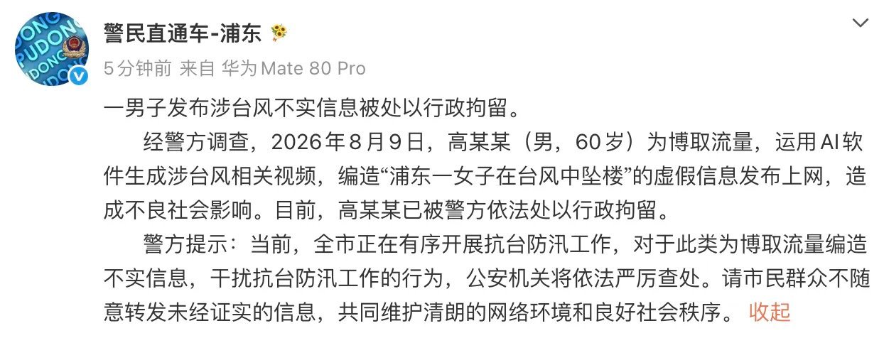 “60岁”、“用AI软件”、“编造虚假信息发布网上”，合在一起有一种说不出来的荒