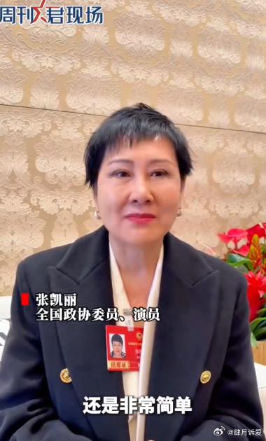 张凯丽说短视频不会毁掉一代人张凯丽称禁止未成年用网是因噎废食 面对数字时代应该选