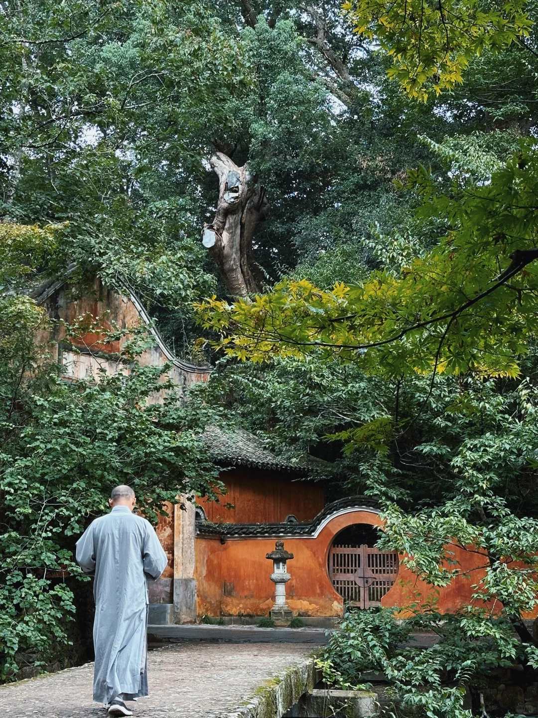 何人无事，宴坐空山