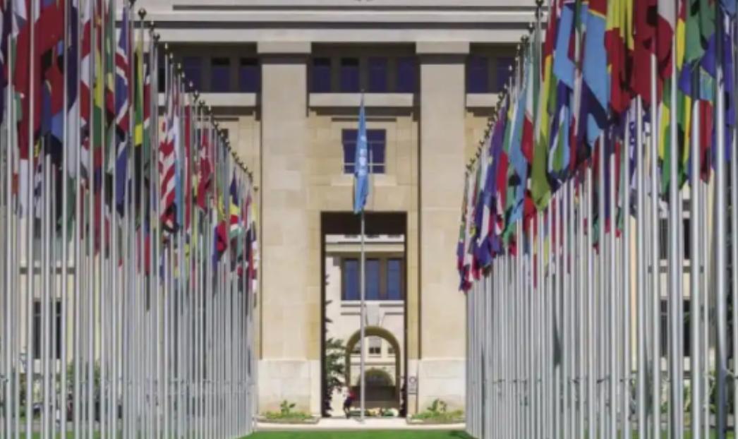 美国突然弃权，中国反对无效，俄罗斯也遭碾压，联合国高票通过日本提案的背后到底有什