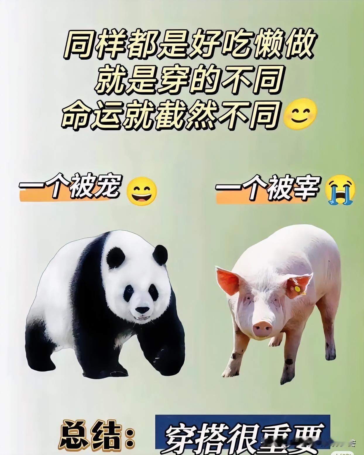 女人一定要学会
1会开车
2会打扮
3会赚钱
不然没人宠啊！