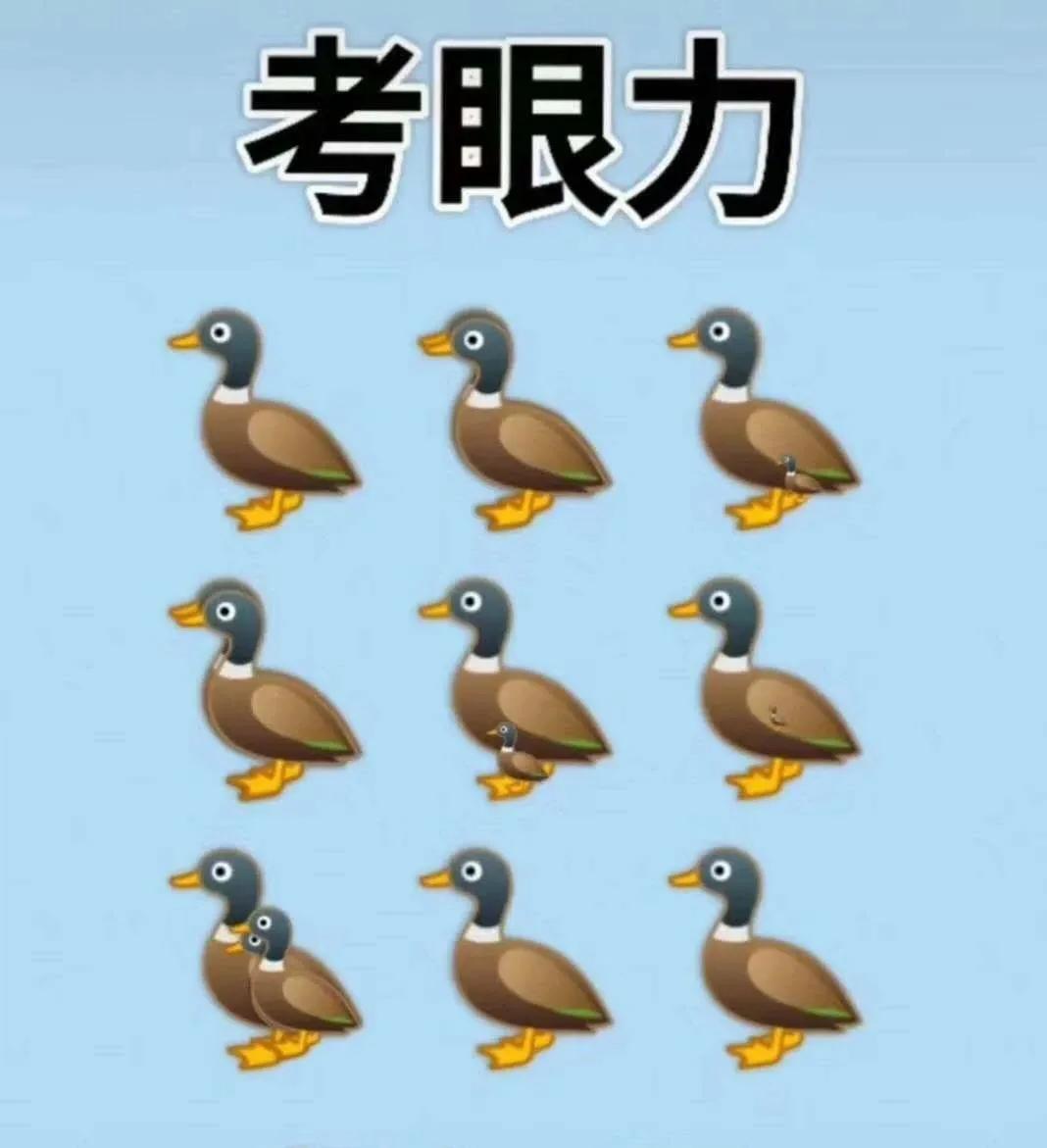 图中有多少只鸭子？你能数出来吗？
粗心的数了9只，细心的数了14只，天才数了16