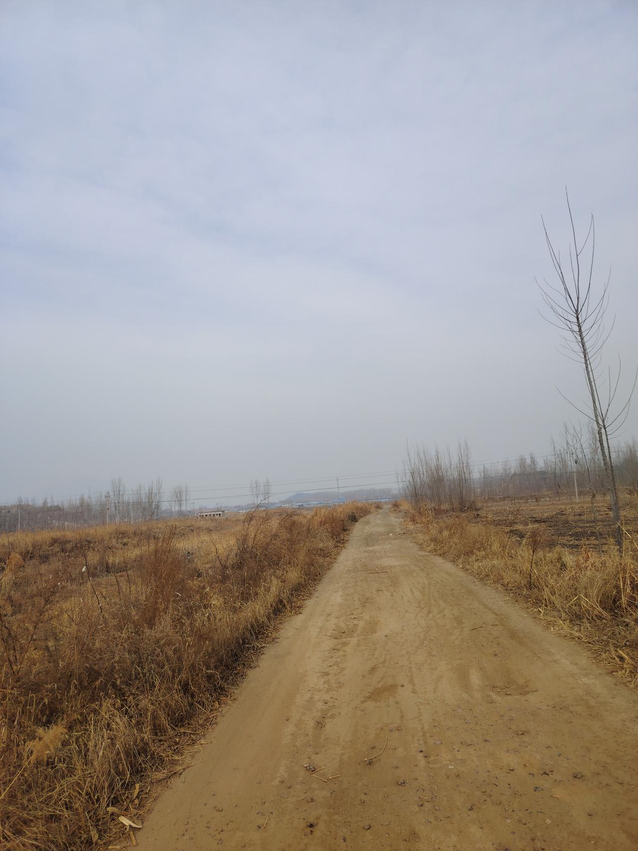 记录我的2026 乡间小路，静谧悠长，仿佛通往未知的远方。