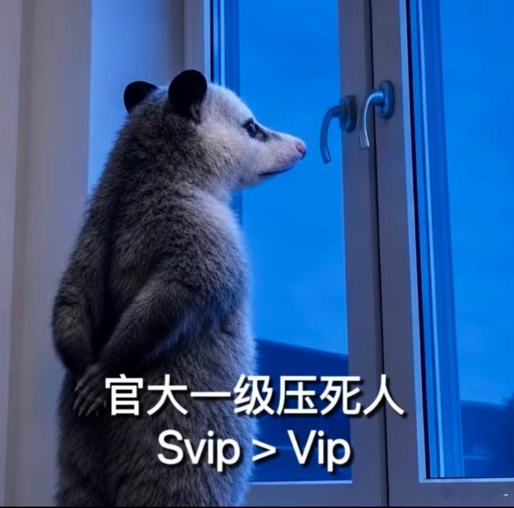 哔哩哔哩谁有汇源[老师好] ​​​