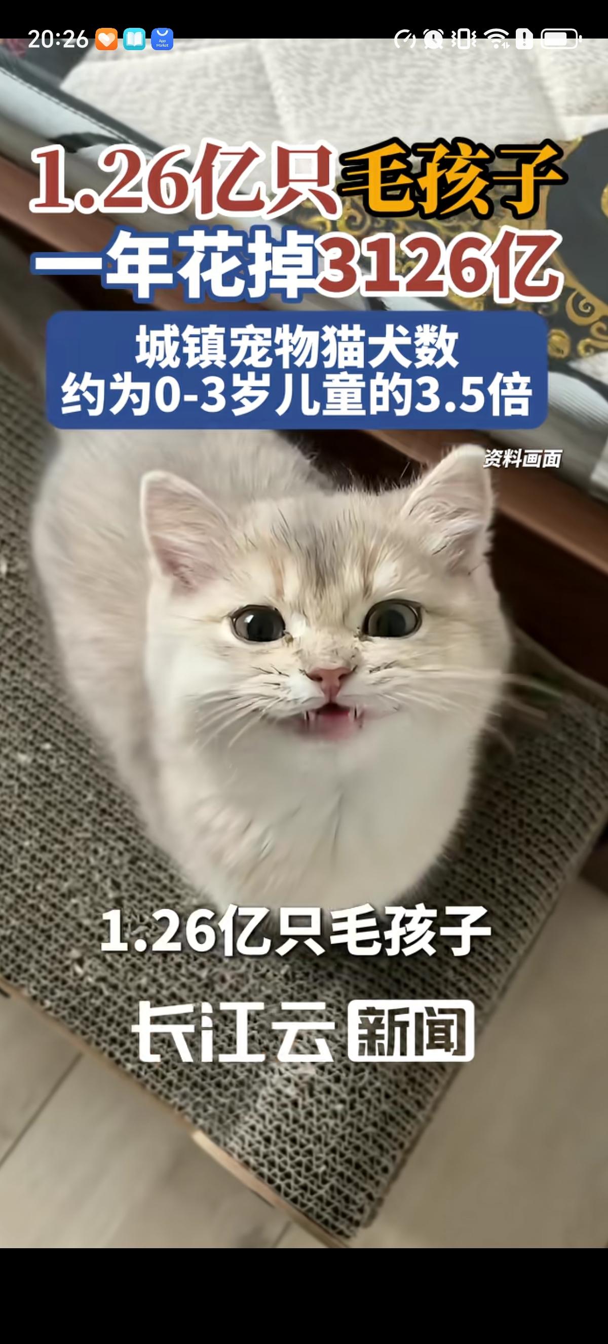 知道毛孩子多，没想到毛孩子比儿童多。据统计城镇宠物猫的数量大概是0到3岁儿童的3