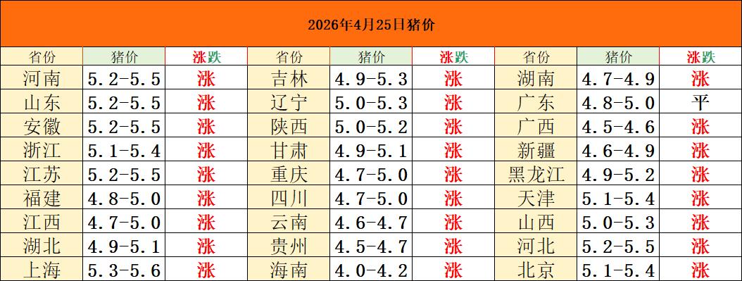 2026年4月25日猪价！逆势上涨！再度全红！
这个周末的猪价看起来还很猛啊！市