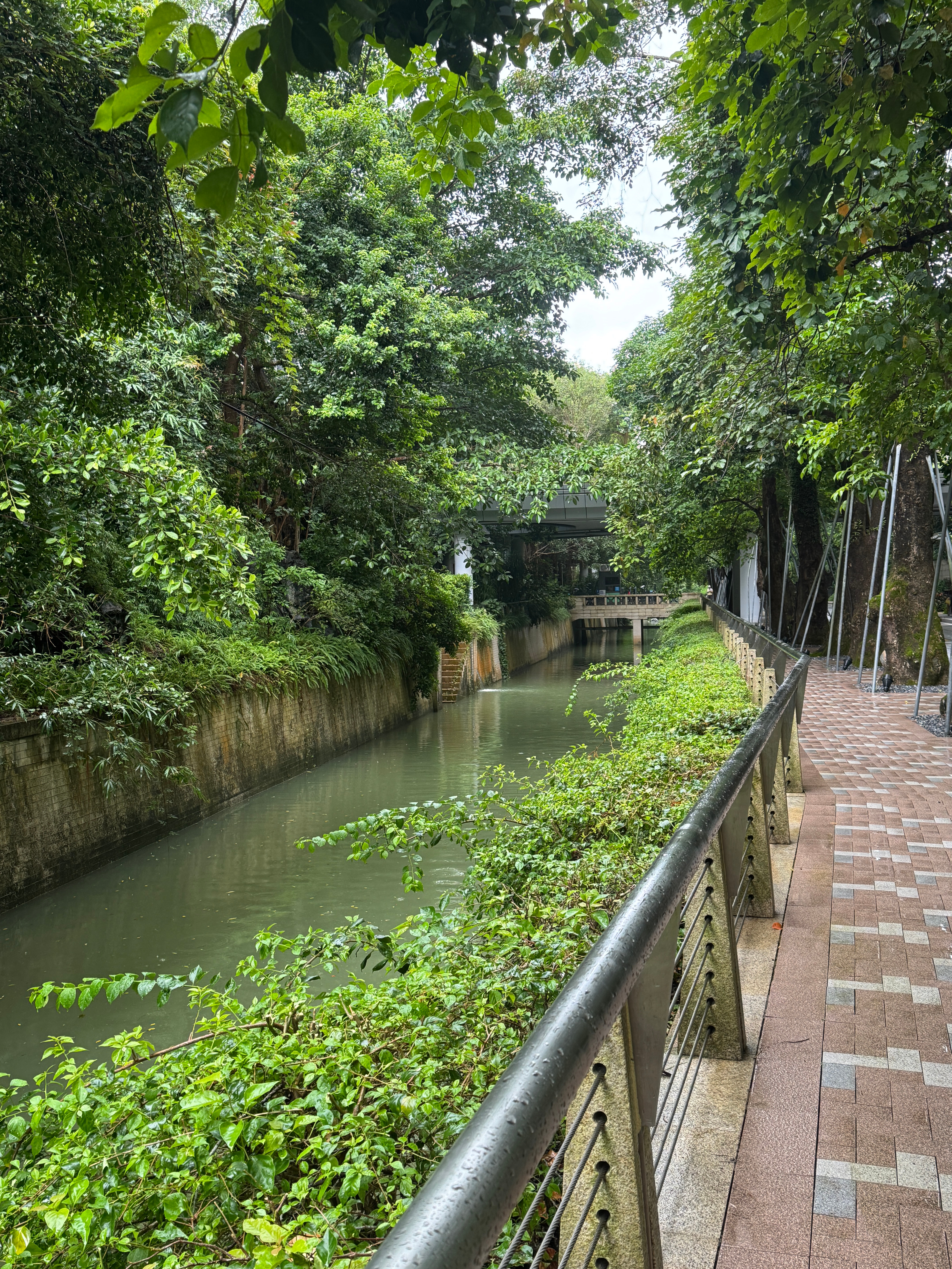 “原来没有你 是最漫长的雨季～”从昨天下班开启这一周得下雨天☔️ ​​​