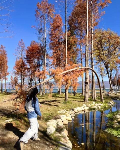秋天🍂环洱海骑行➕徒步才是大理游玩天花板！
对于每年都会来大理的资深玩家来说 