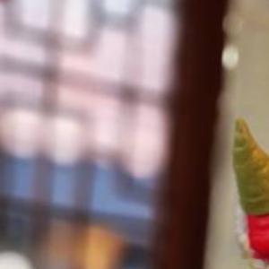 脾气越倔强、越硬的人，命运一定会很悲惨，越是较劲的人，命越不好。所以圣人讲：要学