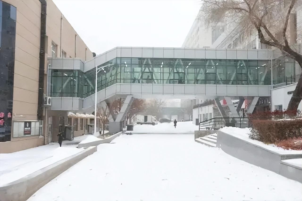 论“护犊子”还得是哈工大，为学生建暖廊，短裤短袖给人看懵了
哈尔滨工业大学为学生