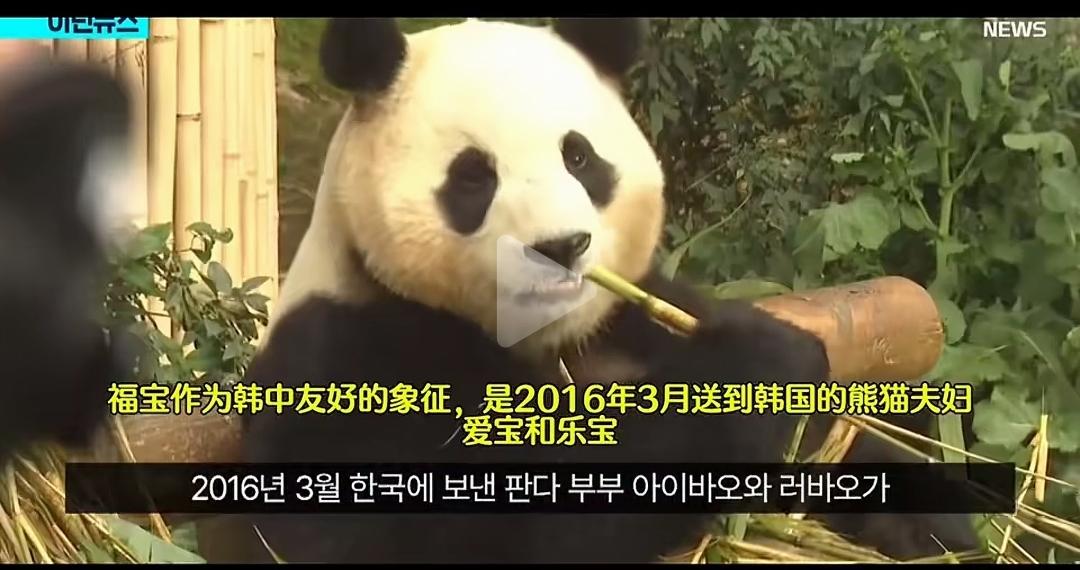 李在明又想打我们福宝的主意了。其实我觉得也没有什么不可以。租5年，他们一个总统任