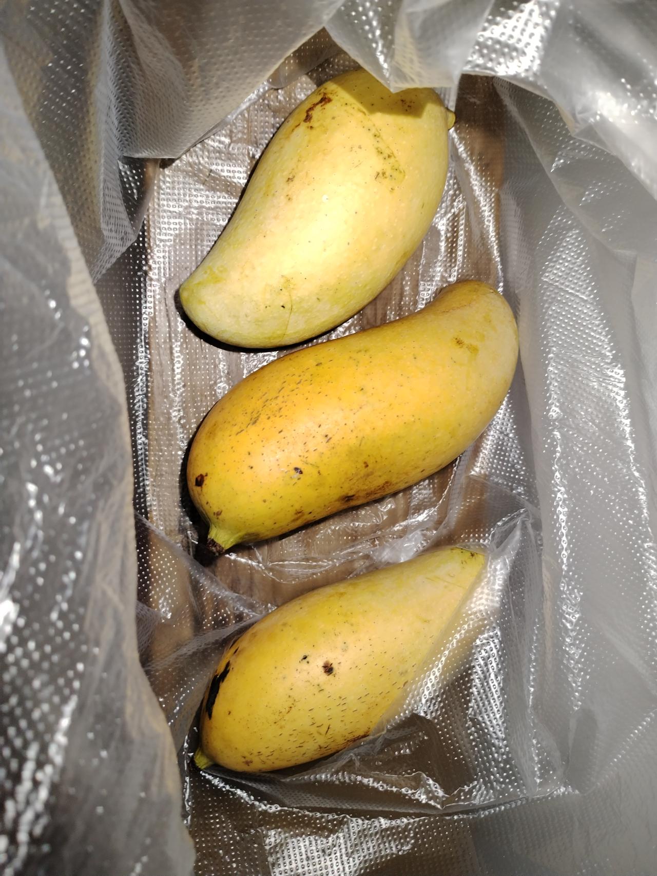 元江的芒果
醇美香甜的芒果是最真的味道了，一元五角一斤也是够实惠的了！