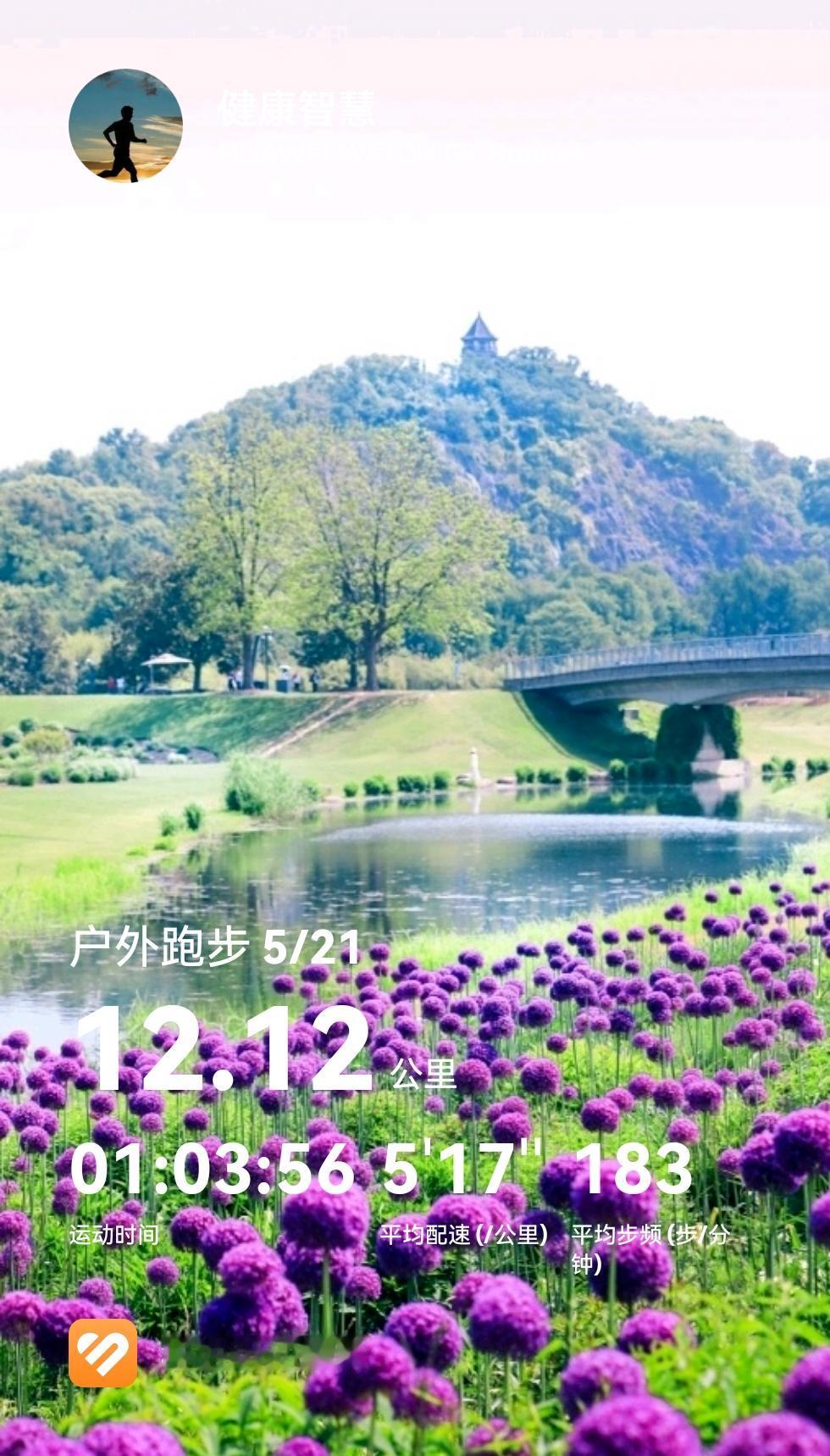向内深耕，向阳而生，少纠结过往，多奔赴前方。

跑步打卡 2026年5月21日星