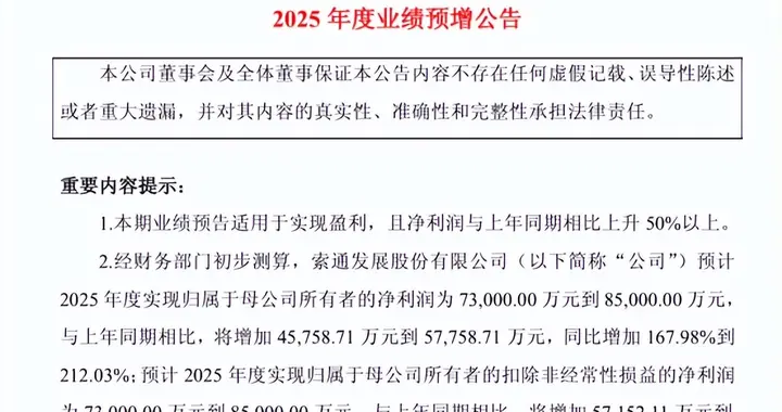 索通发展业绩预盈，产能释放与海外拓展驱动增长