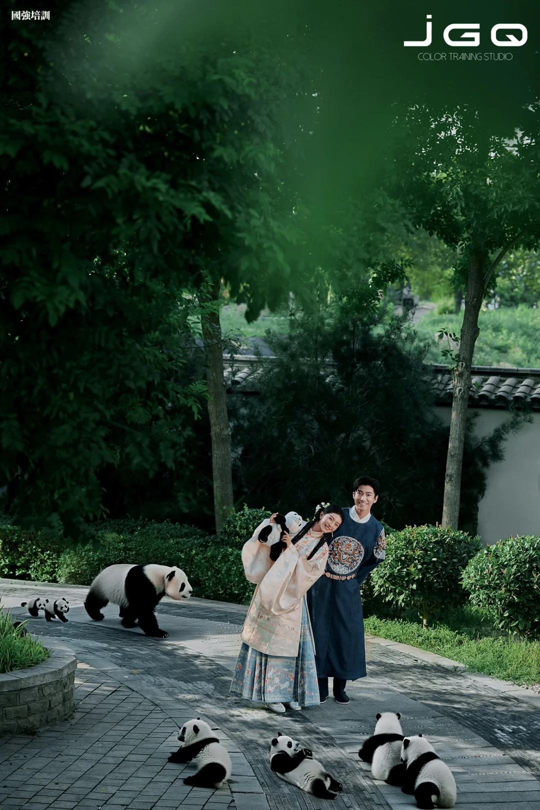 卿卿熊猫中式系列｜国强培训