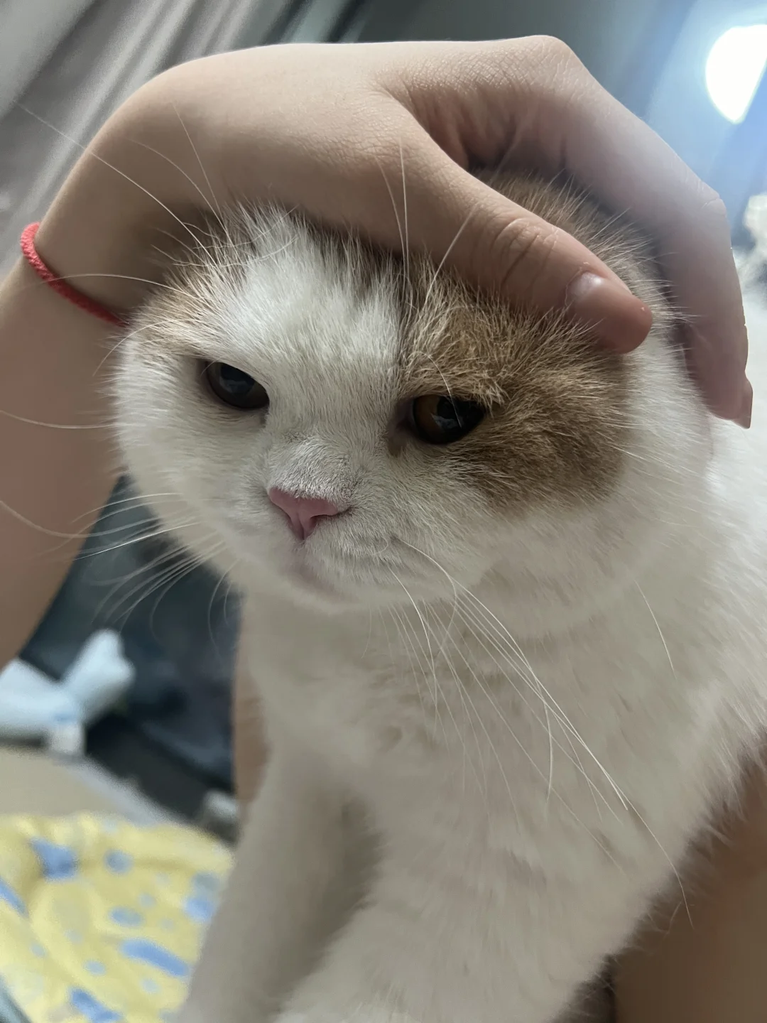 宝宝的头之大 一只手握不下🤔