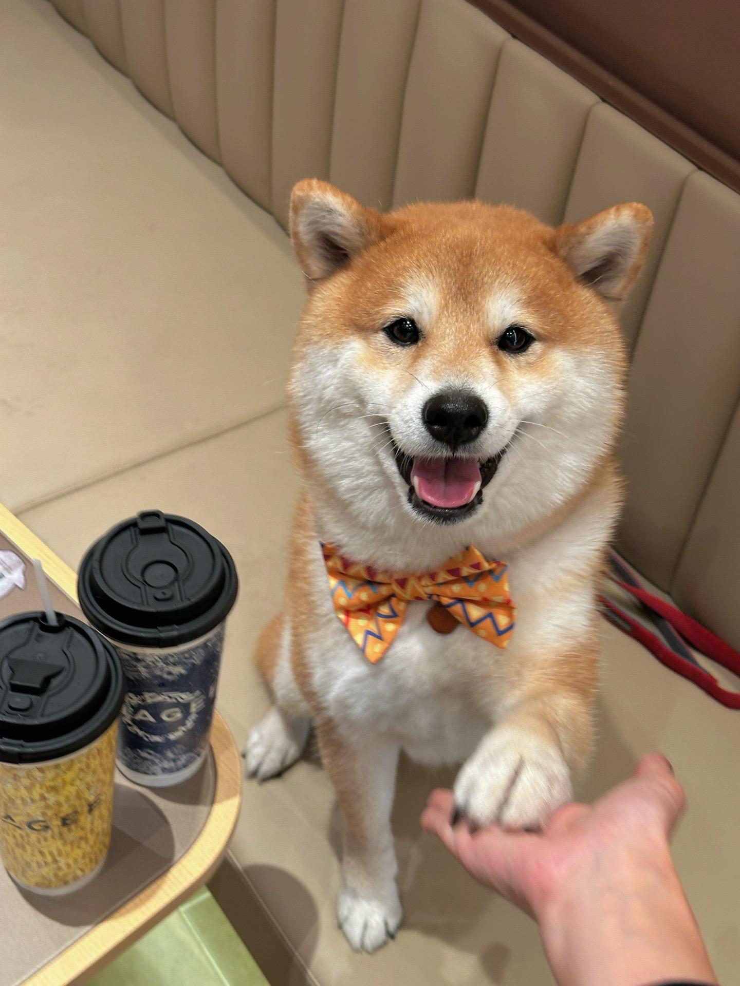 请留步 可以请我嚯杯奶茶吗🥤。