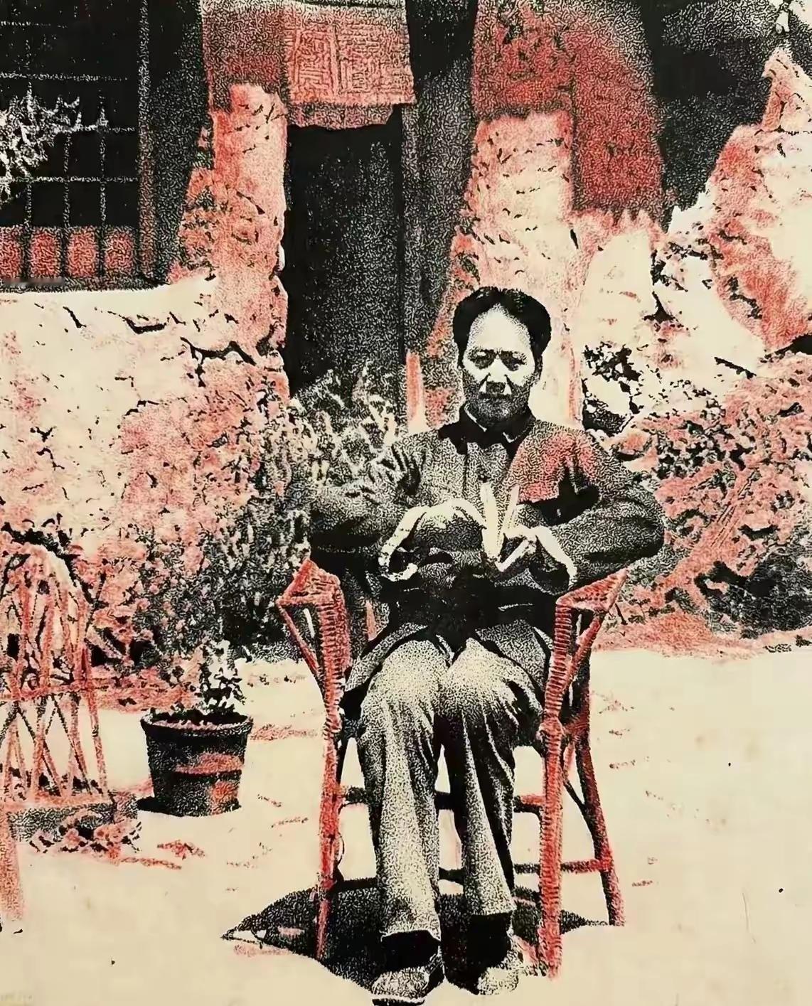 土黄色的窑洞前，阳光斜斜地照下来，把粗糙的墙面晒得暖烘烘的。毛主席就坐在那把旧藤