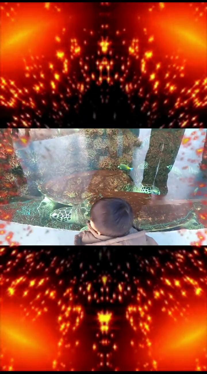 营造一个具有科普教育意义而又乐趣横生的海洋世界。
·二楼是星光璀璨的迷人蜡像馆，
