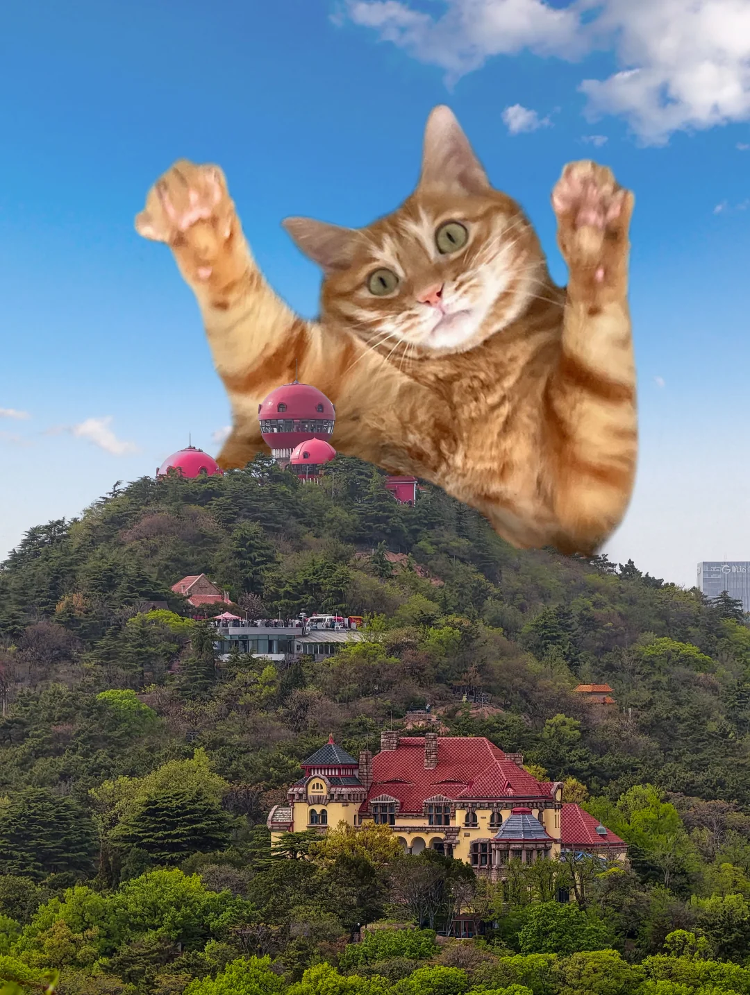 青岛我来啦🤣