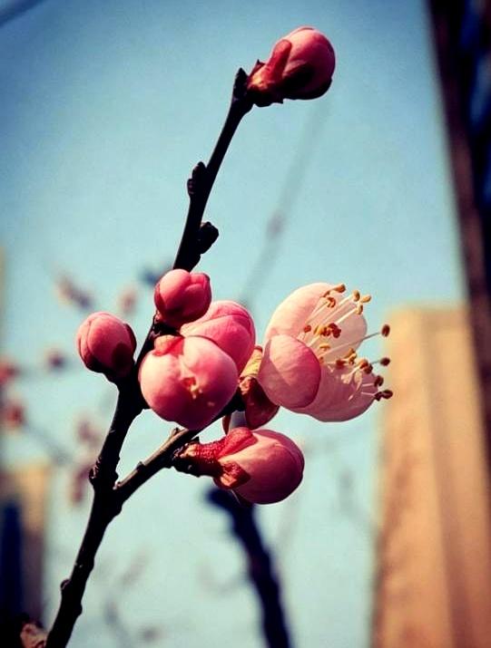 当最后一条消息在屏幕上停住时，指尖悬着，城市很安静，情人走到尽头。
这时候最干净