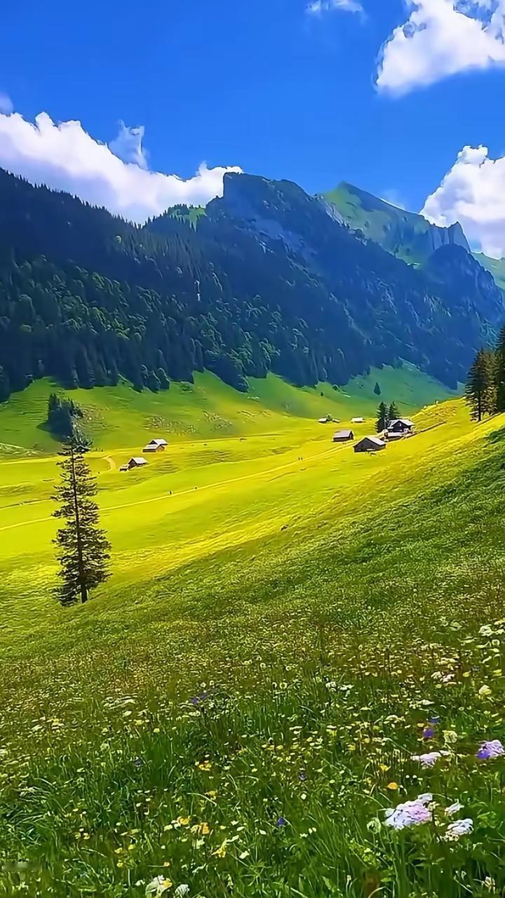 晚风轻绕肩头
漫过眉眼的温柔
心底忽的空落
悄无声息里
念起你的模样
 
本想让