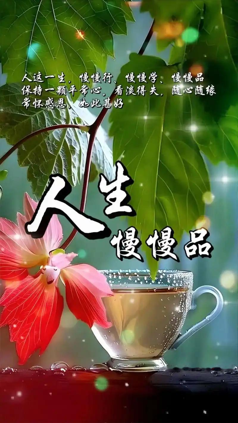 人在很多情况下能大彻大悟。在最低谷时，顺境里身边全是笑脸，逆境中却态度各异。没钱