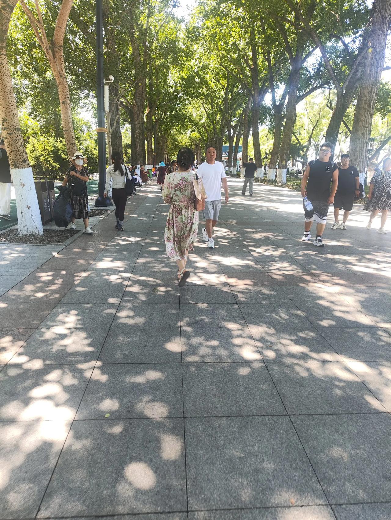 弟妹自己交的养老保险，今年终于可以开支了，坐标黑龙江省哈尔滨市，弟妹以前在人民同