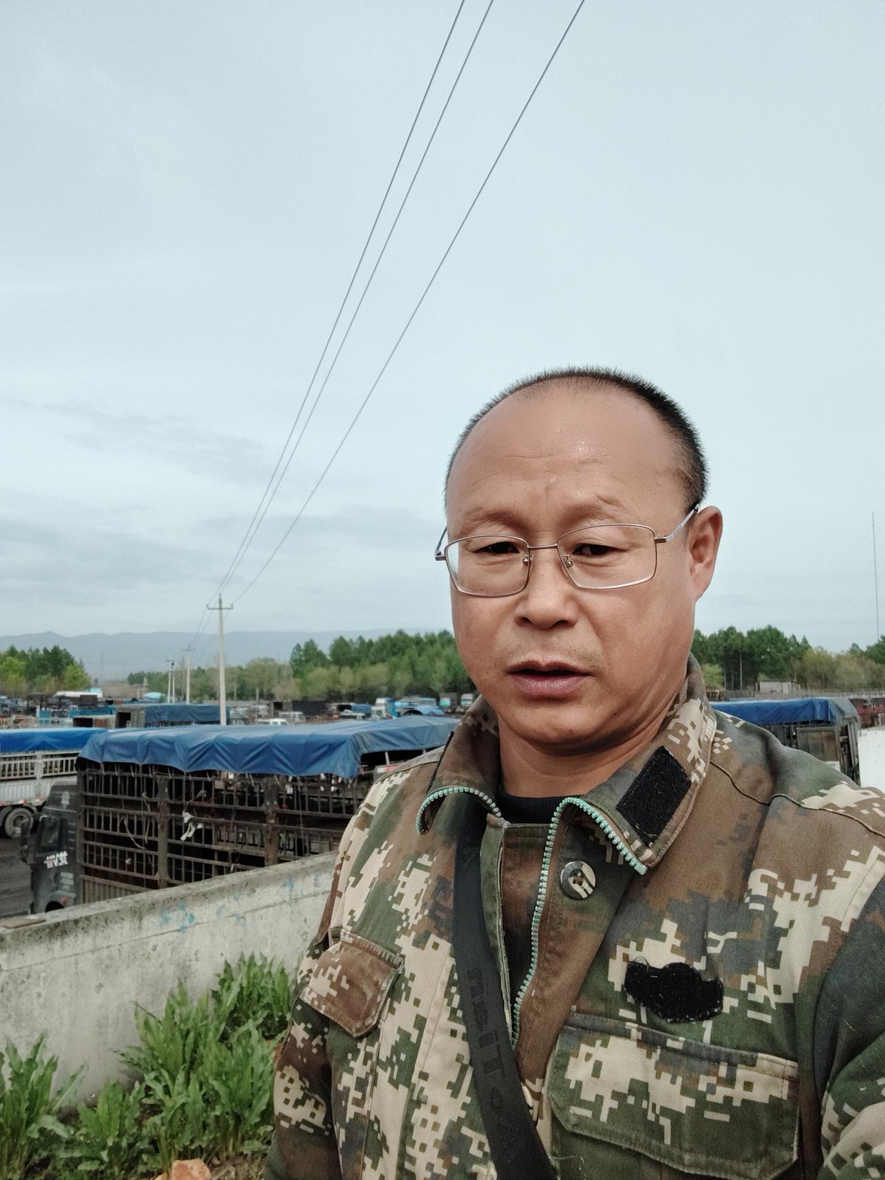 现在养牛赚钱不？

养牛能赚钱，但得看咋养

首先得说，现在养牛确实能赚钱。咱东