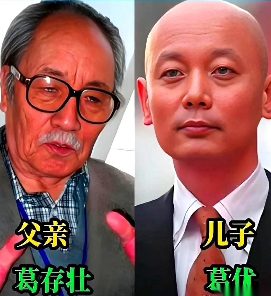 聊聊高明和高亮这对父子。
你正陷在沙发里，电视上是《闯关东》，一个叫森田大介的日